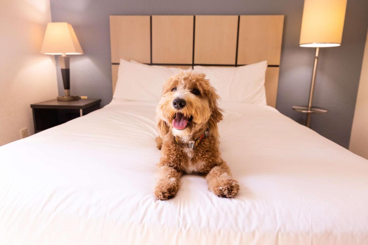 Sonesta Simply Suites Minneapolis Richfield Buitenkant foto